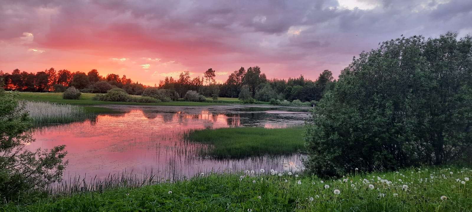 Ieraksts: Sākums Cēsu novadā